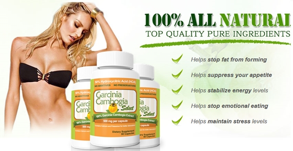 garcinia cambogia brand that works